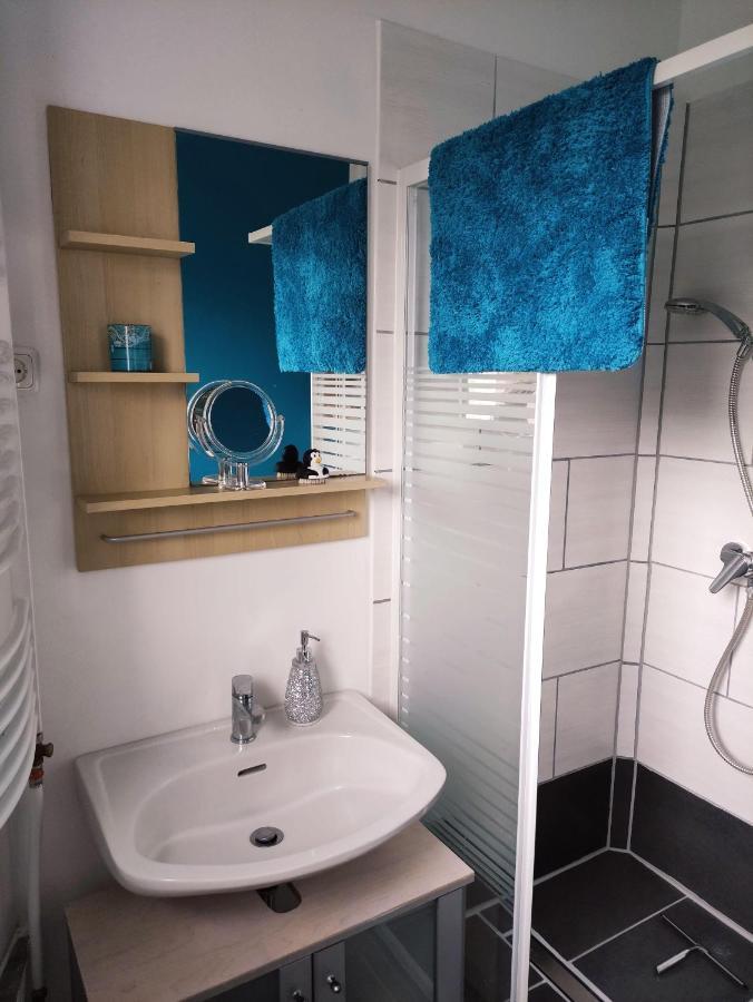 Ferienwohnung-Im-Karolinenkoog-Erholung-Zwischen-Feld-Und-Deich Extérieur photo
