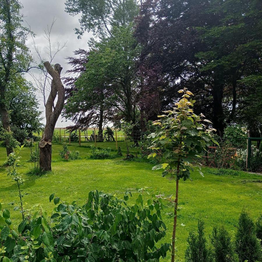 Ferienwohnung-Im-Karolinenkoog-Erholung-Zwischen-Feld-Und-Deich Extérieur photo